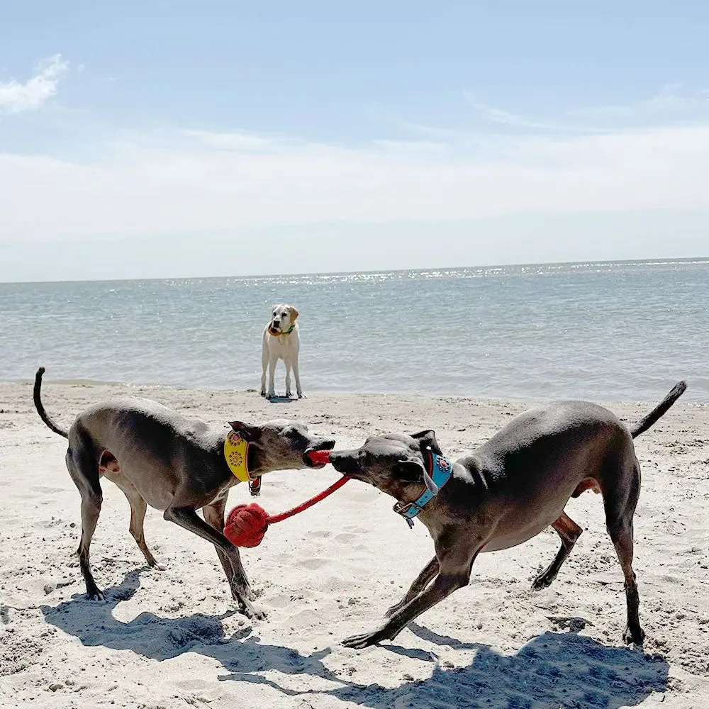 "Beach Ball" am Seil