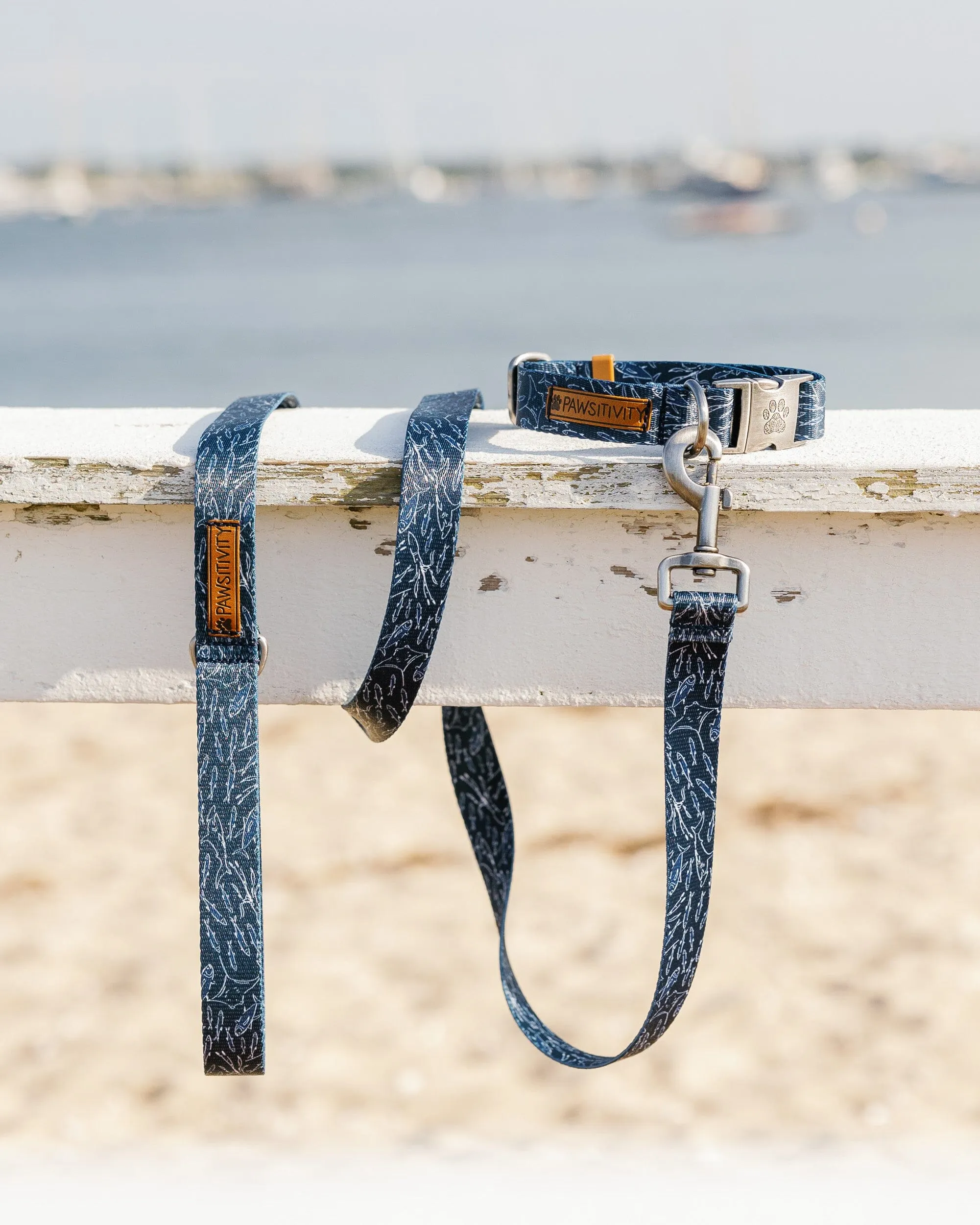ST x Pawsitivity Schooling Fish Dog Collar